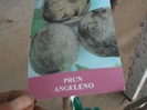 Prun