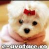 avatare_gratuite_13944331884acc6fac794563.20747102