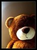 Teddy