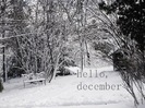 hello__december