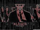 bleach_18_640