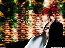 bleach_19_640