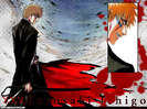 bleach_21_640