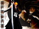 bleach_56_640