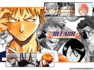 bleach_60_640