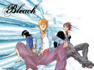 bleach_61_640