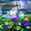 17526664_PYYFSCREL