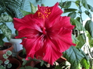 DSC02167