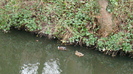DSC01913