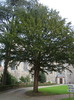 DSC01960
