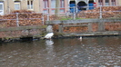 DSC01980