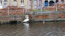 DSC01981