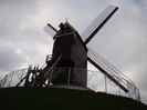 DSC01987