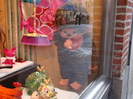DSC02026