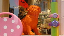 DSC02056