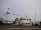 DSC00423