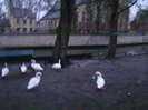 DSC00540