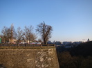 DSC00766