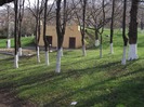 DSCF0939