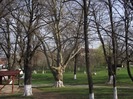 DSCF0940