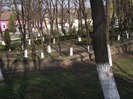 DSCF0941