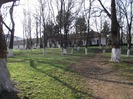 DSCF0942