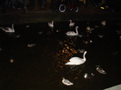 DSC01120