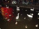 DSC01121