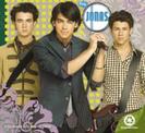 jonas brothers