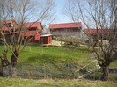 puntea spre laculetul cu carasi