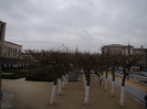 DSC01217