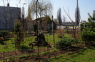 DSC00853