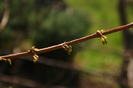 DSC00855