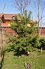 DSC00860