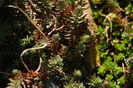 DSC00871