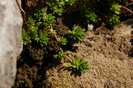 DSC00875