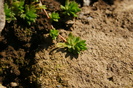 DSC00876