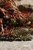 DSC00879