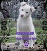 26692244_URZVNYYPU
