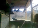 Photo0396