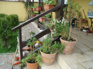 DSC08717