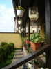 DSC08718