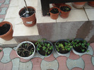 DSC08724