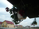 DSC08726