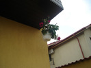 DSC08727