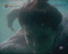 13395639_LWJKTCVTV