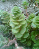 Picture 077