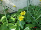 DSC06080