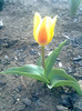 Image0223
