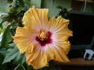 P1330224